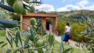 turismo_delle_Radici