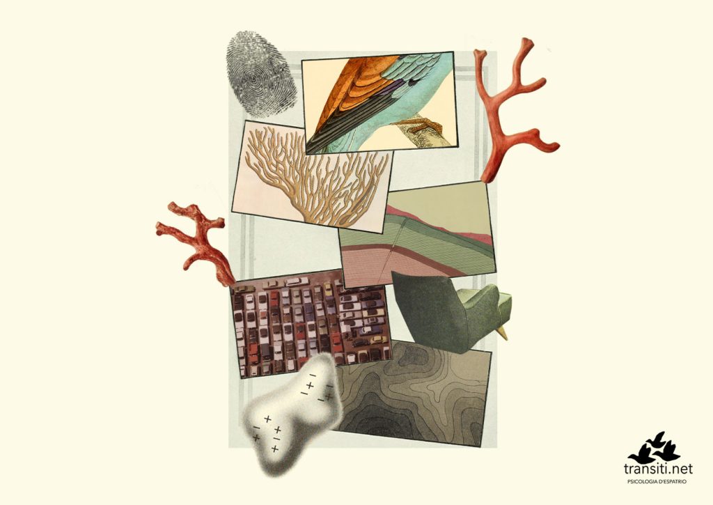 appartenenza-in-espatrio