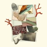 appartenenza-in-espatrio