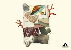 appartenenza-in-espatrio